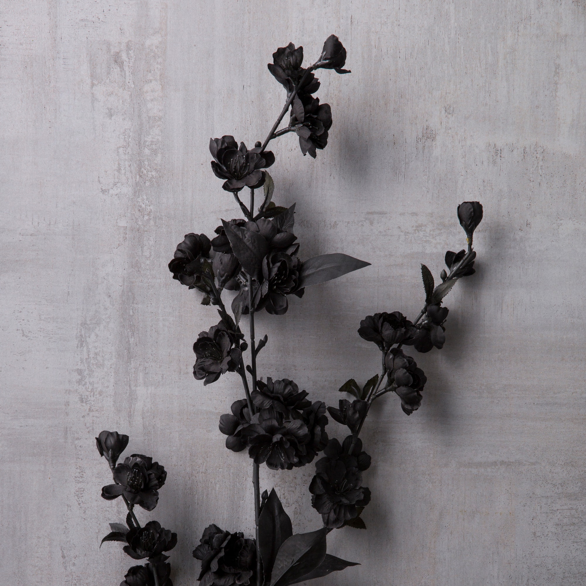 Black Blossom Spray by Ashland®